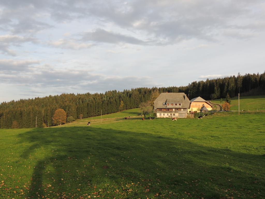 Pension Altvogtshof Eisenbach  Exterior foto